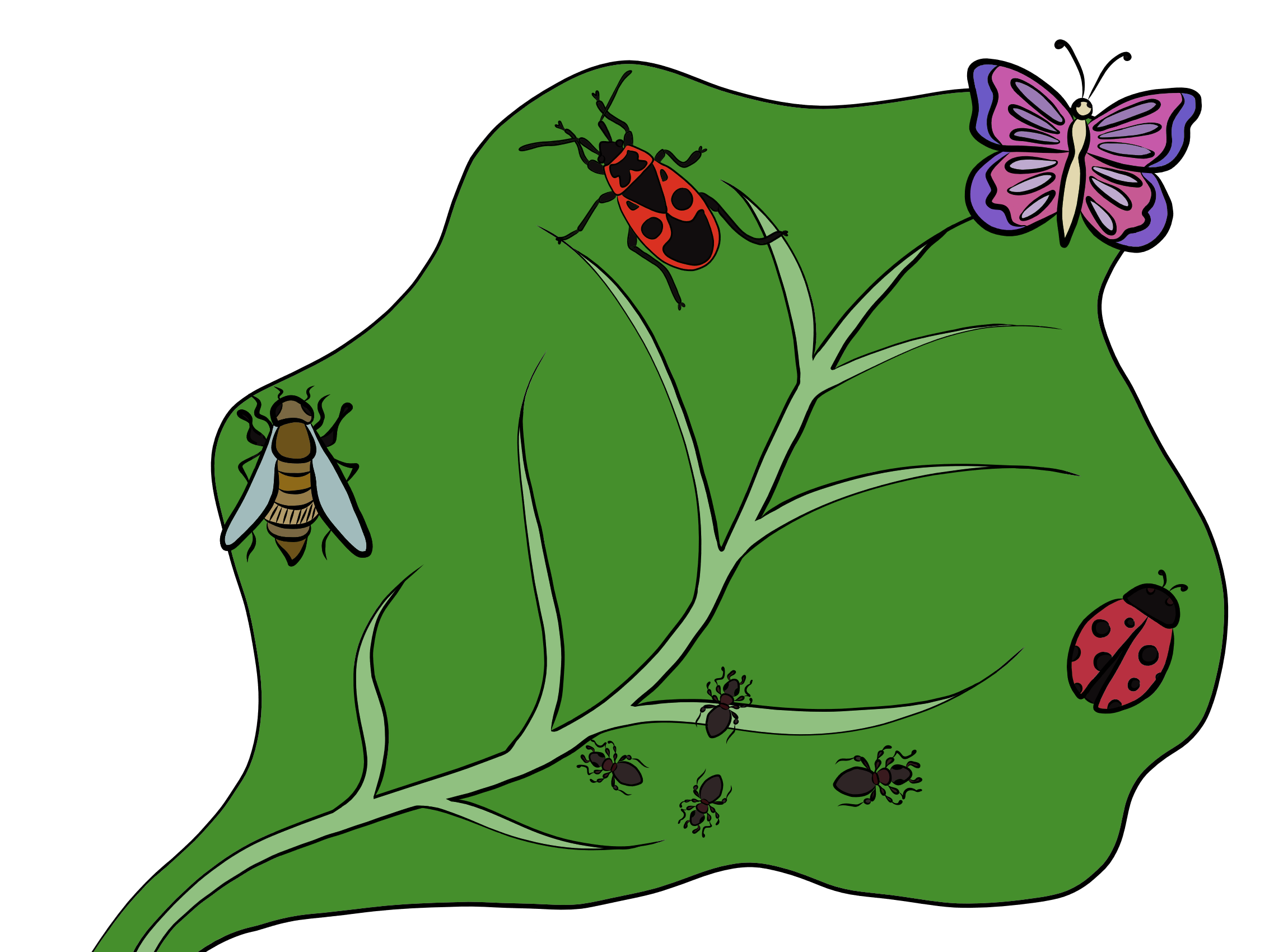 Biodiversity in Irchel Park