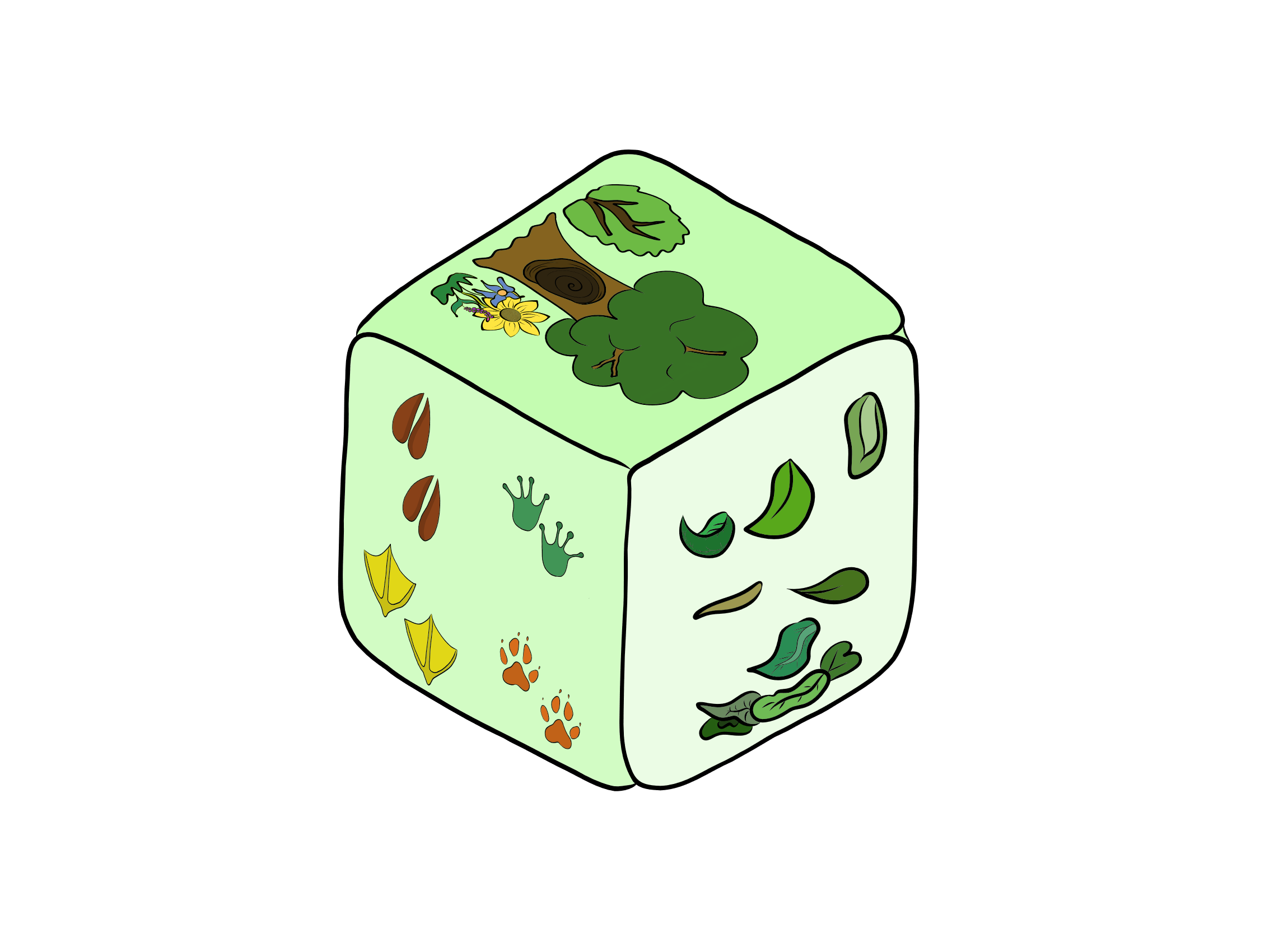Biodiversitätsspiele Nachmittag